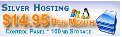 silver web site hosting
